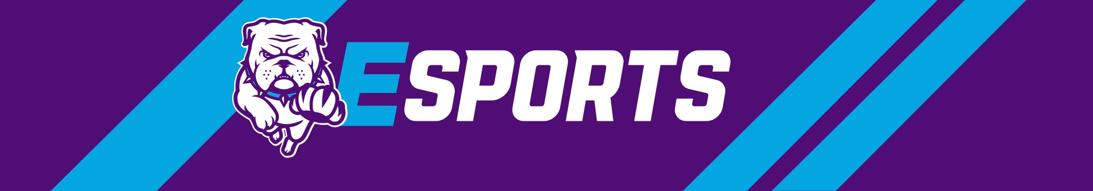 Esports Logo banner